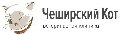 Чеширский кот