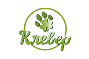 Клевер