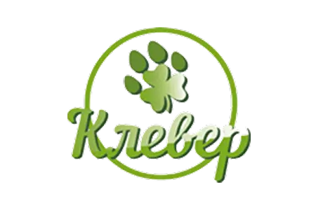 Клевер