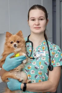 Бойко Анна Владимировна