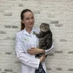 Солнцева Юлия Денисовна