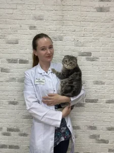 Солнцева Юлия Денисовна