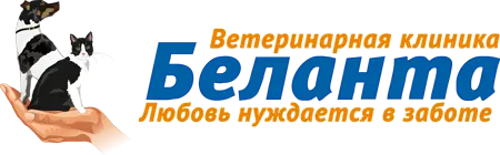 Беланта